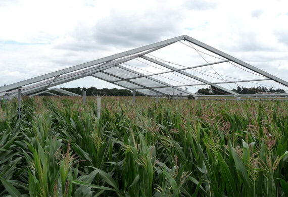 The future of agriculture